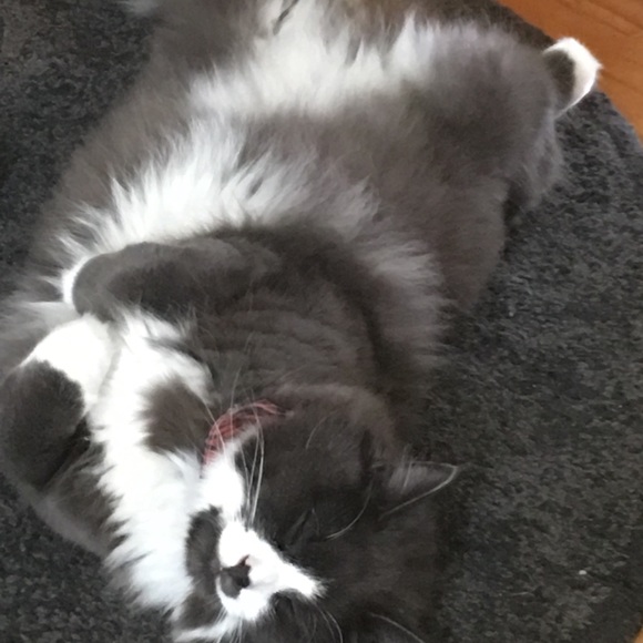 Meet your Posher, Kasi - Picture 6 of 10